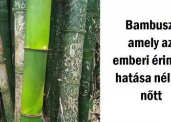 18 felvétel, amelyek bizonyítják, hogy a világ jobb hely lehetne, ha jobban odafigyelnénk rá