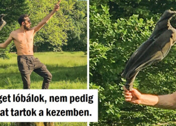 15 tökéletesen időzített fénykép, mely abszolút szemet gyönyörködtető