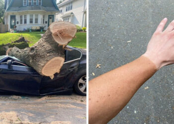 20+ alak, akiknek a szerencséje szabadságra ment egy napra