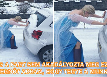 15+ személy, akik 200%-ban elvégzik a munkájukat