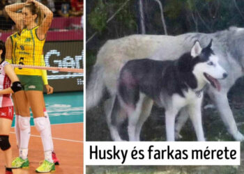 17 izgalmas összehasonlítás, amely teljesen új szemszögből mutatja meg nekünk a világ dolgait