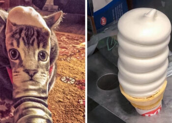 15+ kielégítő fénykép, amely a másodperc tört része alatt összezavarja az elmédet