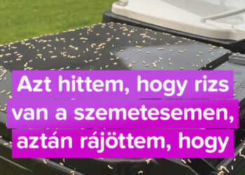 21 személy, akik hirtelen kételkedni kezdtek az “én házam az én váram” kifejezésben