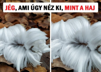 16 csalóka dolog, mely úgy tesz, mintha valami más lenne