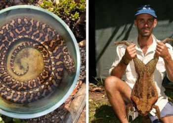 Az élet Ausztráliában totálisan más, mint a világ többi részén, és ezt 20 fotóval is bizonyítjuk