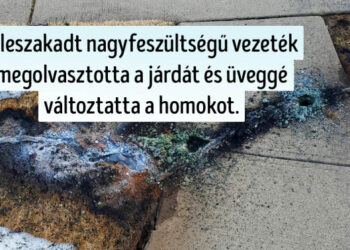 14 izgalmas dolog, amelyet valószínűleg sosem láthattunk volna, ha nem létezik internet