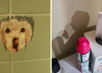 15 részlet, amelyet sosem gondoltál volna, hogy megtalálod egy vécében