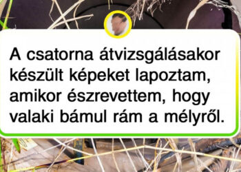 18 kép, amelyre az egész internet felkapta a fejét, és biztosan neked is időbe telik megérteni őket