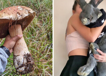 16 alkalom, mikor az emberek elég szerencsések voltak ahhoz, hogy ajándékot kapjanak az univerzumtól