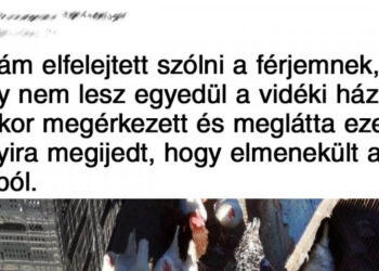 20 bizonyíték, hogy a vidéki élet tele van különleges helyzetekkel