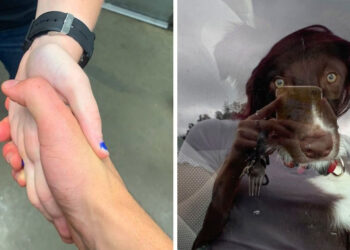 15 fénykép, melytől az agyunk zavart módba váltott