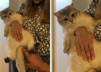 15 kép, amitől úgy érzed, hogy újra kell indítanod a szemed, mert lefagyott