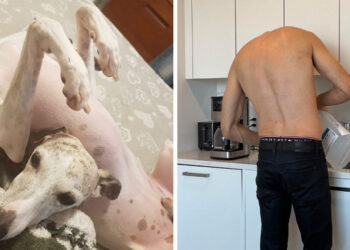 15+ kép, ami annyira összezavar, hogy elzsibbad az agyad