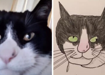 19 totálisan elbaltázott alkotás, aki olyan rosszul rajzol állatokat, hogy az már zseniális