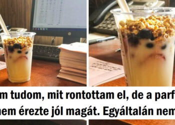 15 alkalom, mikor egy fénykép totálisan összezavart bennünket