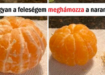 15+ alkalom, mikor az emberek olyat tettek, ami megérdemelt egy “Azta” díjat