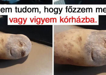 16 alattomos fotó, amelyekről valami teljesen más dolog jut eszedbe