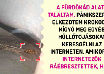 17 személy, aki izgalmasabb dologra bukkant, mint egy pénzzel teli tárca