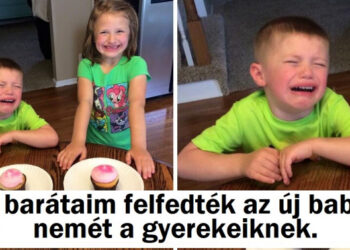 15 felvétel, amely bizonyítja, hogy a családi élet egyszerre komédia és dráma