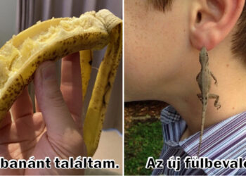 15 alkalom, mikor a gyermekek őrülten megnevettették a felnőtteket