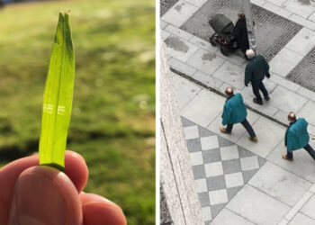 17 alkalom, amikor az élet olyan hibákat produkált, ami bizonyíték, hogy Mátrixban élünk