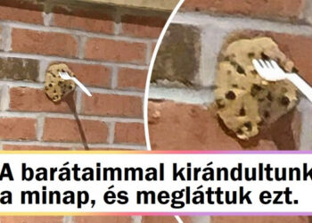 15 személy, aki elég szerencsés volt ahhoz, hogy tanúja legyen egy véletlen egybeesésnek