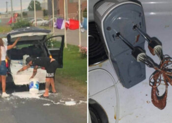 15 látványos kudarc, mely csak néhány kiválasztott emberrel történhetett meg