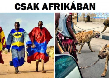 25 fotó, ami igazolja, hogy milyen izgalmas korban élünk