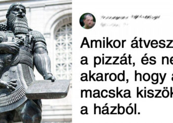 20 kép, amely piszkosul unalmas lett volna, ha nem írtak volna mellé egy frappáns megjegyzést