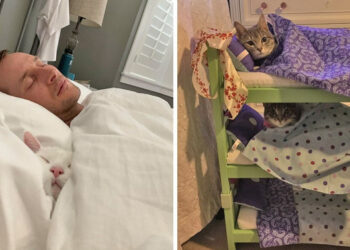 15 szívből jövő fotó, amelyre szükséged van egy hűvös napon