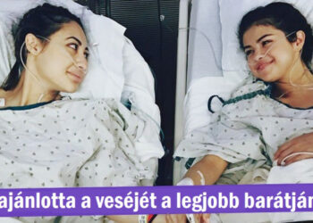 14 felvétel, amely bebizonyítja, hogy az igazi barátság aranyat ér