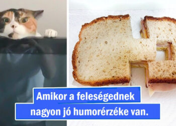 20 alkalom, mikor ráébredsz, hogy a családi élet tele van izgalmakkal