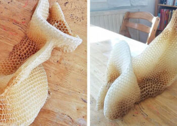 15 természet alkotta remekmű, amiről nem hisszük el, hogy igazi, pedig az