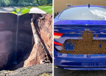 16 személy, akinek kétszer is meg kellett dörzsölnie a szemét, hogy elhiggye, amit lát