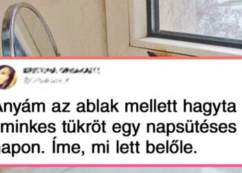 20 alak, aki piszkosul pórul járt a saját otthonában