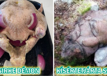 20 személy, aki valami kísértetiesebbet talált a vártnál