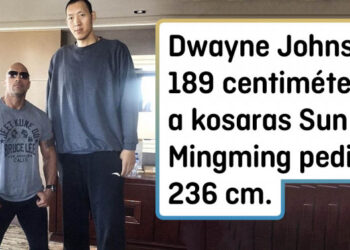 21 fotó, amelyen a méretbeli különbségek minden rekordot megdöntöttek