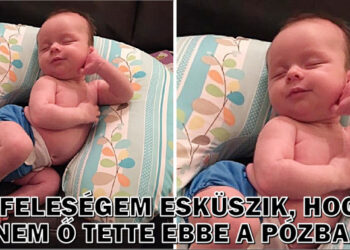 15 fénykép, melytől azt fogod mondani: “Ó, a szívem!”