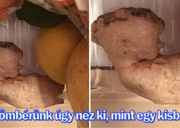 16 alkalom, mikor az emberek láttak valamit, ami becsapta a szemüket