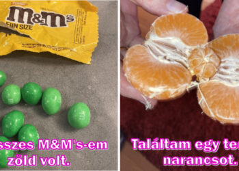 20 alak, akiknek ki kellene próbálniuk a szerencséjüket a kaszinóban