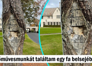 15 ember, aki a hétköznapi dolgokban talált valami igazán különlegeset