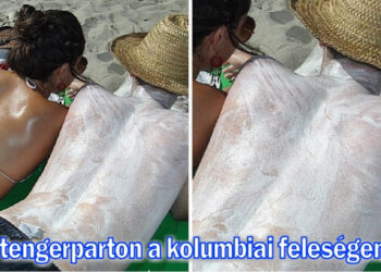 15 alkalom, mikor piszkosul másképp törtétek a dolgok, mint ahogy azt eltervezték