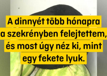 15 fotó, ami látványosan válaszolja meg a kérdést, hogy “Mi lesz, ha…?”