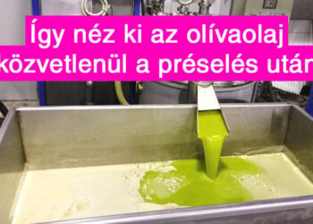 18 érdekes fotó, amitől másképp nézel a világra, mint eddig bármikor