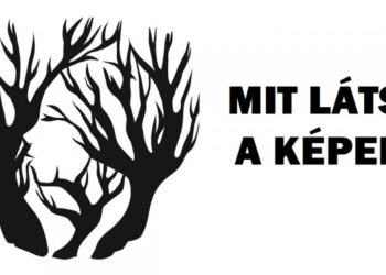 12 illúzió, amely miatt megkérdőjelezheted a saját látásod