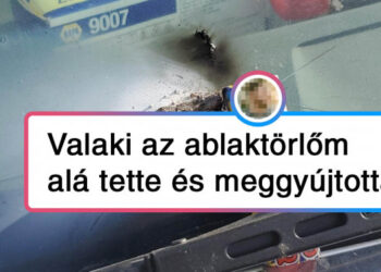 19 bizonyíték, hogy az autóvezetés világa néha totálisan kiszámíthatatlan