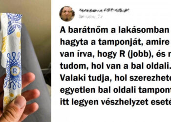 19 fénykép, amely igazolja, hogy a férfiaknál a logika és a humor, gyakran ugyanaz