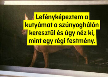 18 fénykép, melyek inkább hasonlítanak klasszikus festményekre, mint véletlenszerű felvételekre