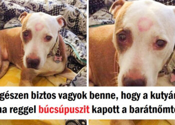 17 személy, akinek a napját apró dolgok tették jobbá