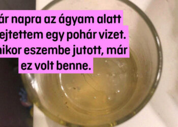 18 dolog, amiről megfeledkeztek és megdöbbentek, mikor rátaláltak